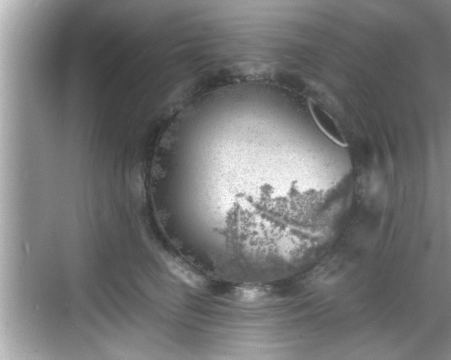 X0000068850662200605121410