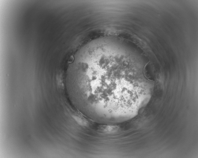 X0000068850663200605121411