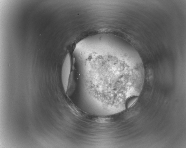 X0000068850664200605121411