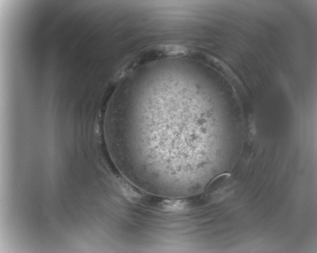 X0000068850667200605121411