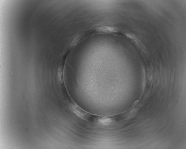 X0000068850669200605121411