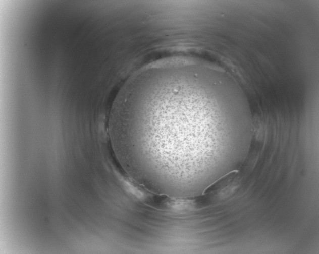 X0000068850670200605121411