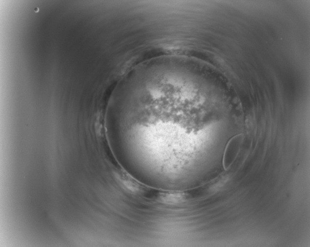 X0000068850671200605121411