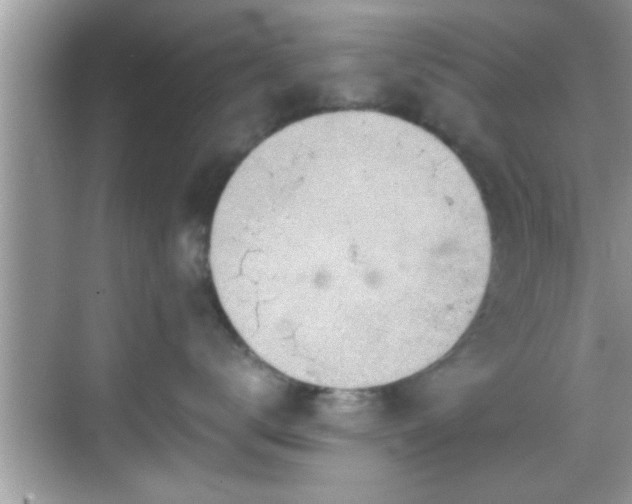 X0000068850672200605121411