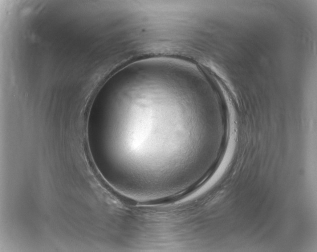 X0000068850673200605121410