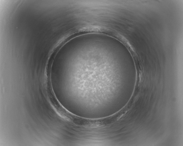 X0000068850674200605121410