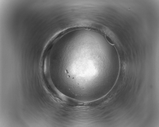 X0000068850676200605121410