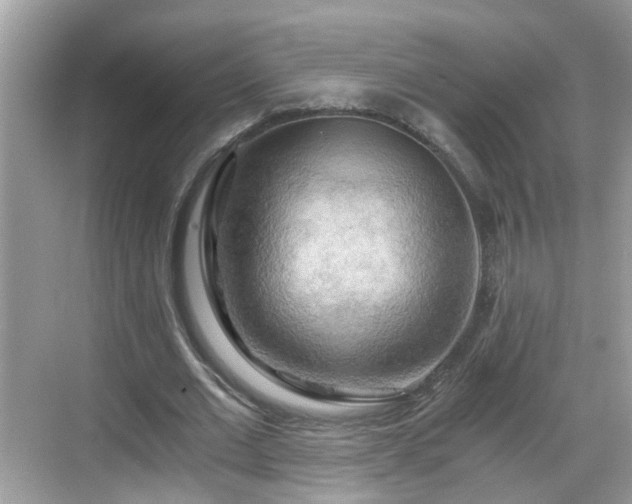 X0000068850677200605121410