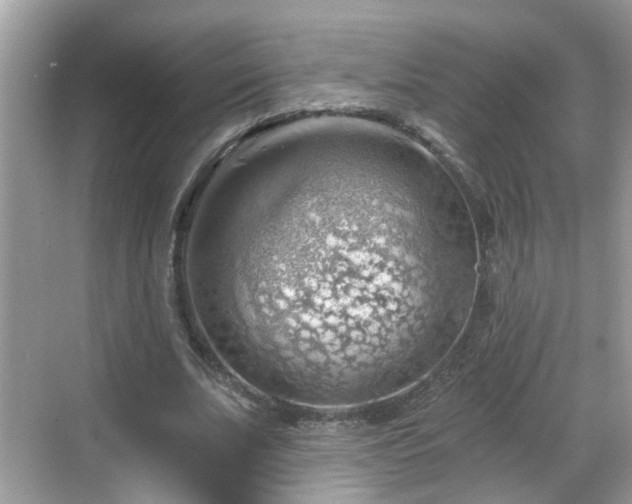 X0000068850679200605121410