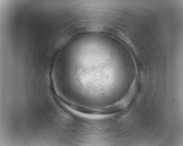 X0000068850681200605121410