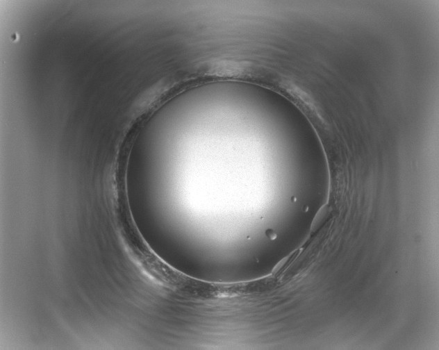 X0000068850682200605121410