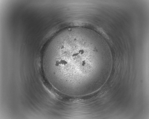 X0000068850683200605121410