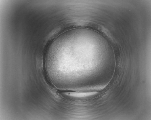 X0000068850685200605121410