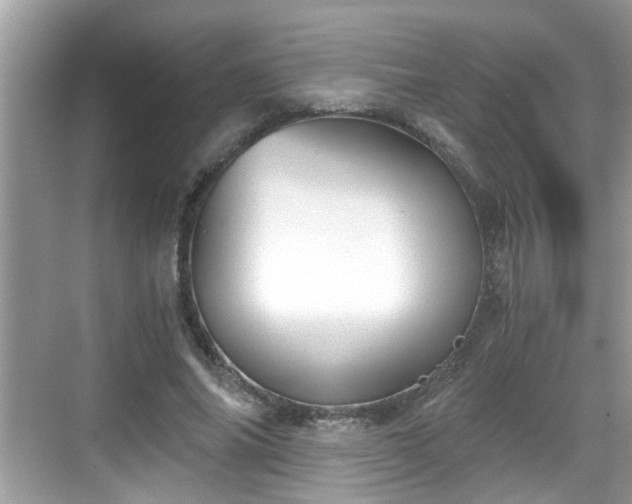 X0000068850686200605121410