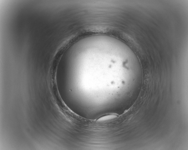 X0000068850688200605121410