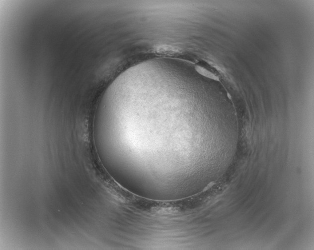 X0000068850689200605121410