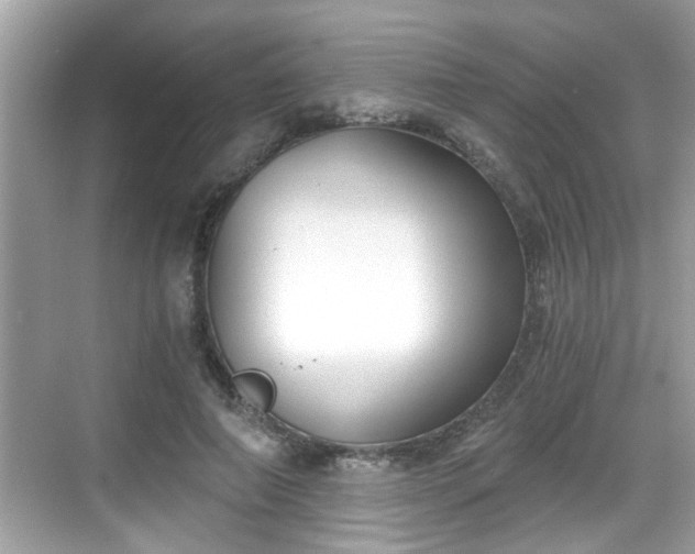 X0000068850690200605121410