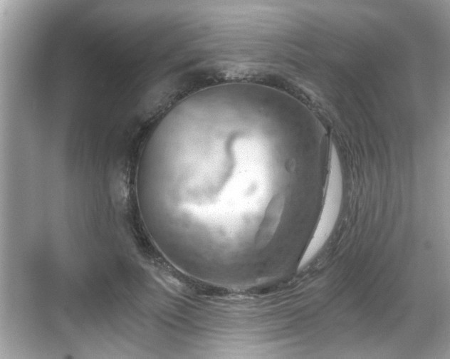 X0000068850691200605121410