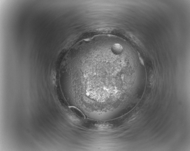 X0000068850693200605121410