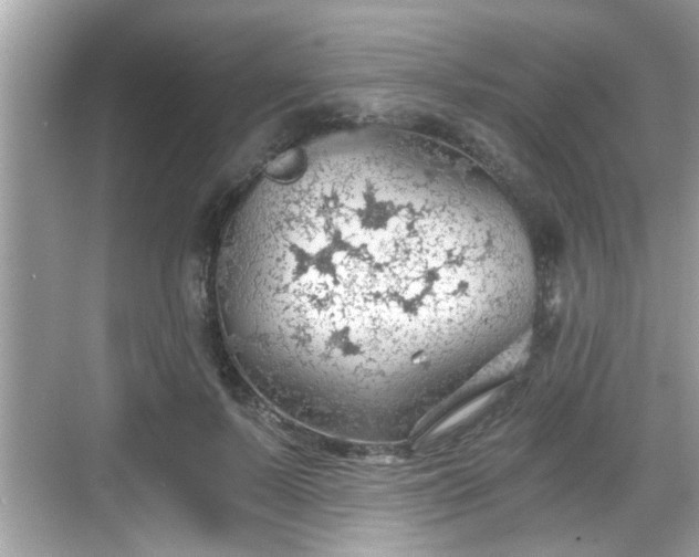 X0000068850695200605121409