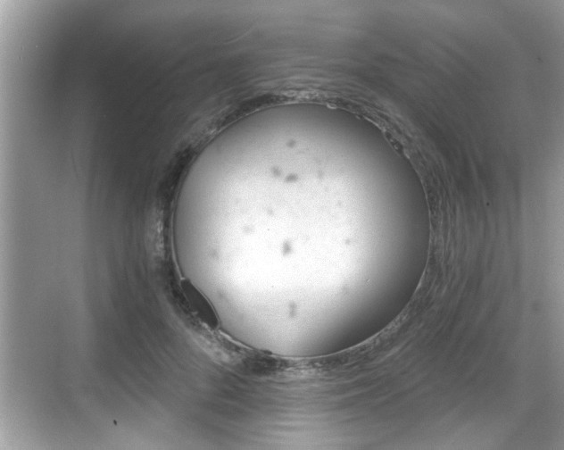 X0000068850696200605121409