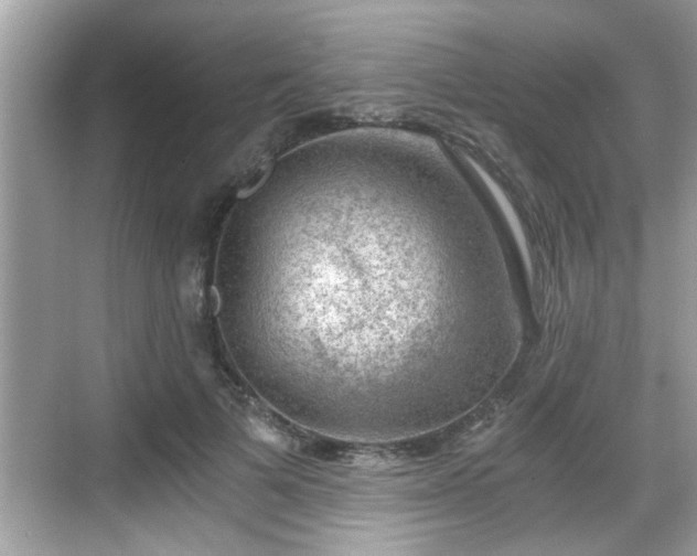 X0000068850697200605121409