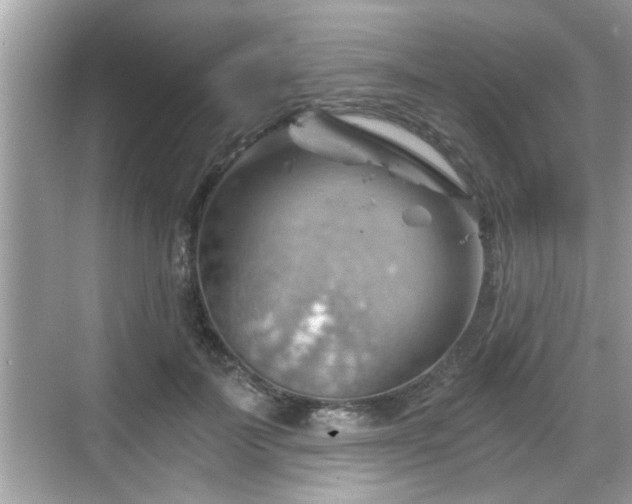 X0000068850699200605121409