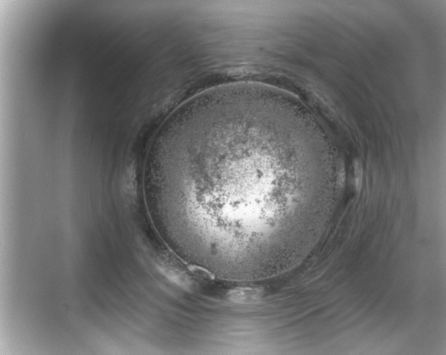 X0000068850700200605121409