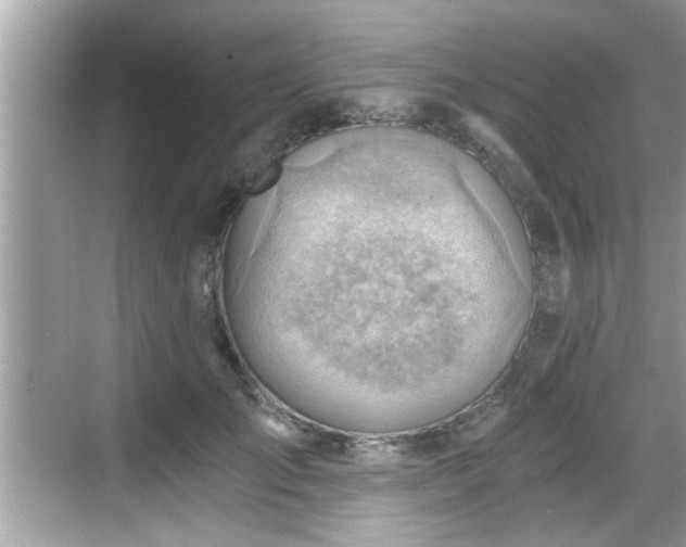 X0000068850701200605121409