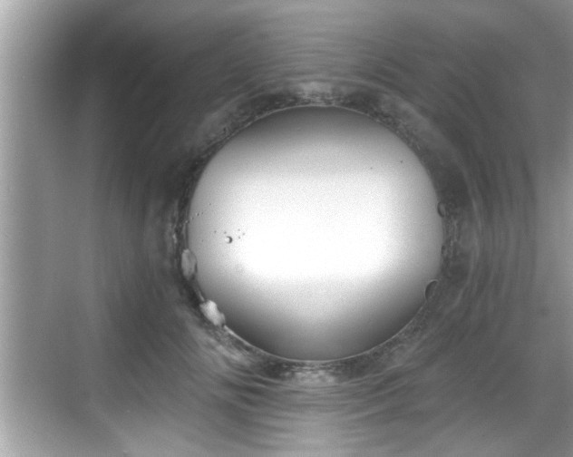 X0000068850702200605121409