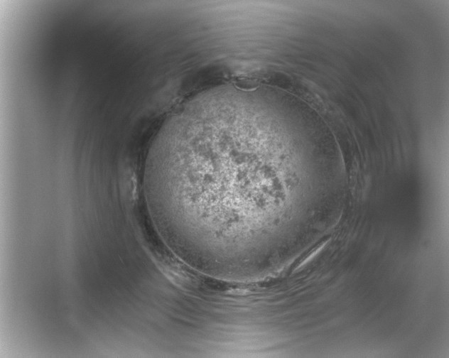 X0000068850703200605121409