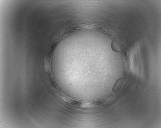 X0000068850705200605121409