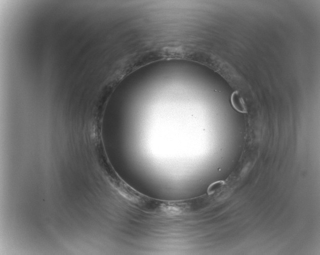 X0000068850706200605121409