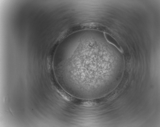 X0000068850708200605121409