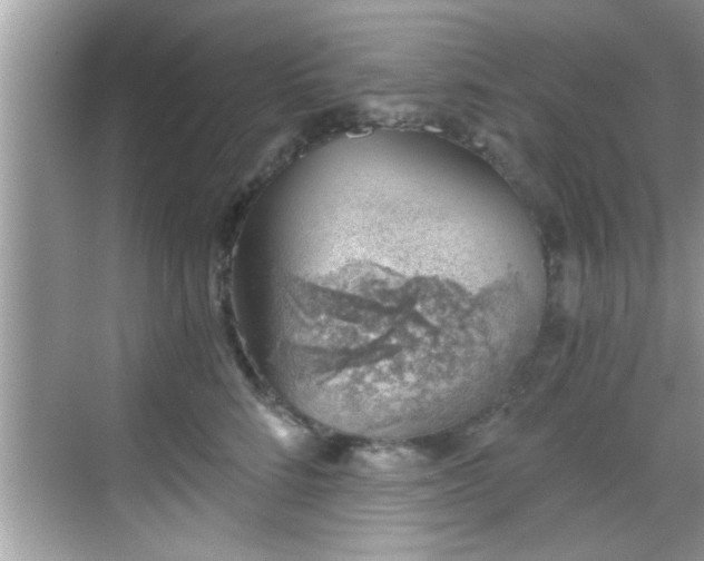 X0000068850712200605121409