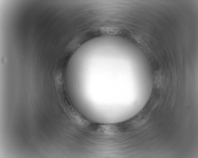 X0000068850713200605121409