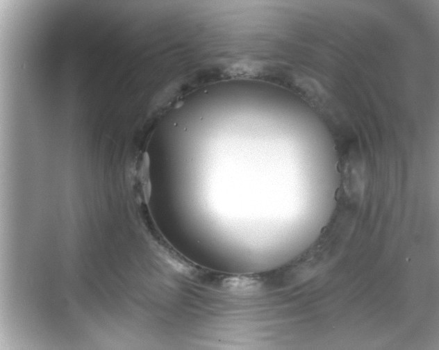 X0000068850714200605121409