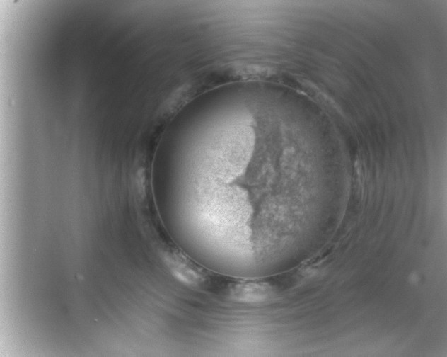 X0000068850716200605121409