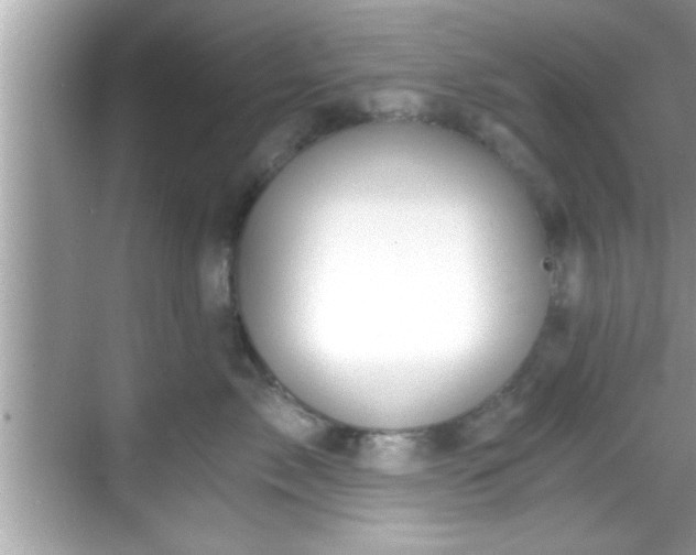 X0000068850717200605121409