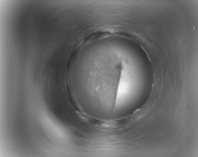 X0000068850720200605121409