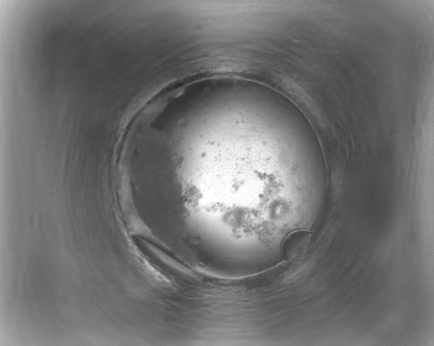 X0000068850721200605121408