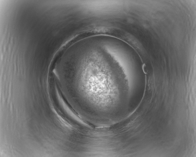 X0000068850722200605121408