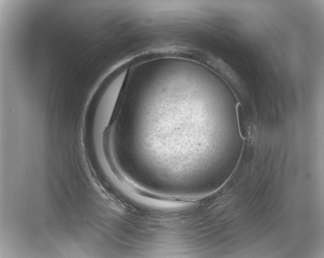 X0000068850724200605121408