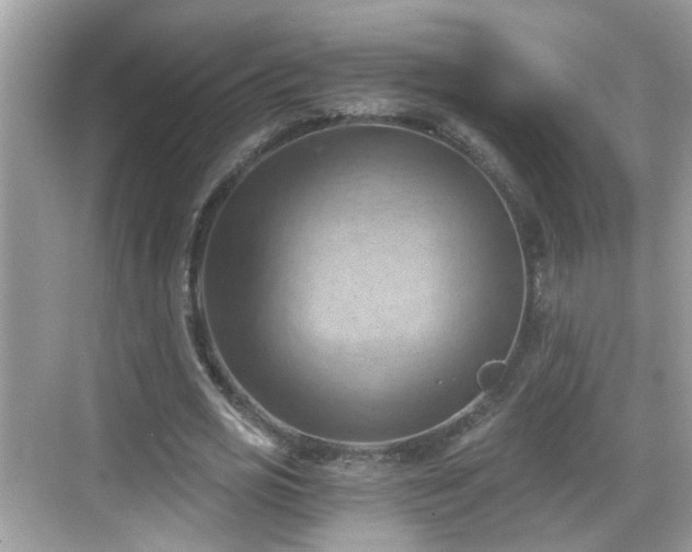 X0000068850725200605121408