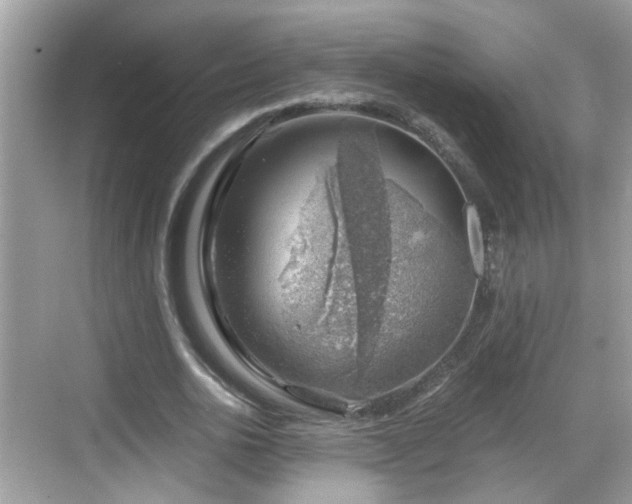 X0000068850726200605121408