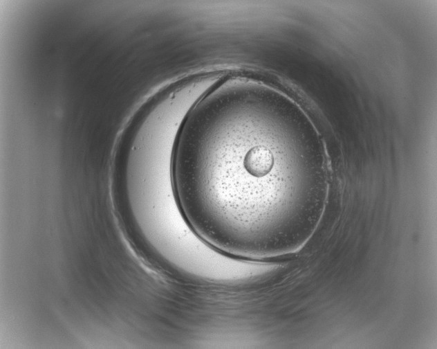 X0000068850728200605121408