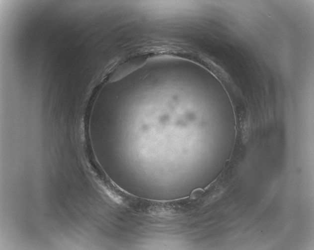 X0000068850729200605121408