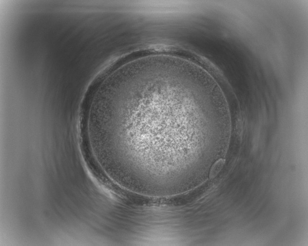 X0000068850730200605121408