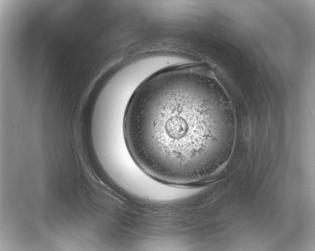 X0000068850731200605121408