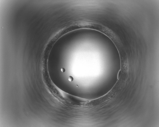 X0000068850732200605121408